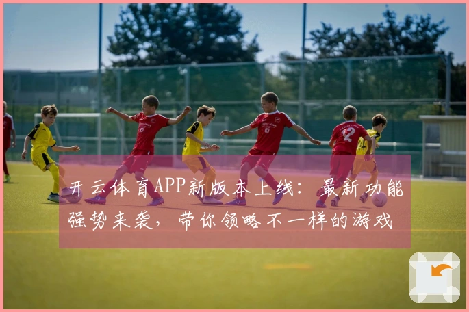 开云体育APP新版本上线：最新功能强势来袭，带你领略不一样的游戏体验